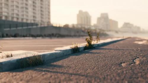 Videohive - Parking Near the Sand Beach - 36337025 - 36337025