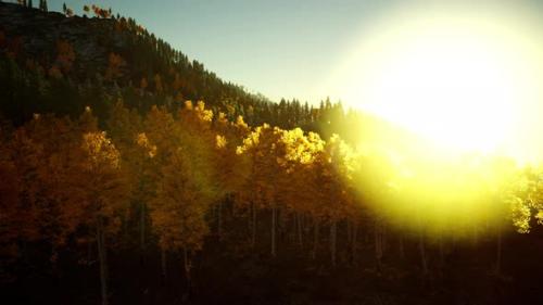 Videohive - Bright Sunset in the Mountains - 36337090 - 36337090