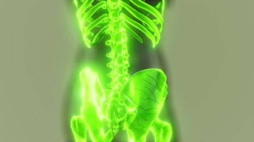 Videohive - Glow Skeletal Bones of Human - 36343566 - 36343566