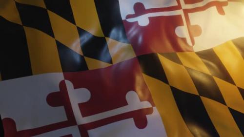 Videohive - Maryland State Flag - 36272442 - 36272442