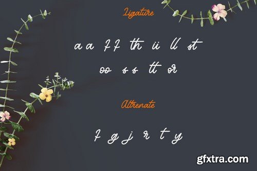 Bayhours Cursive Script Font