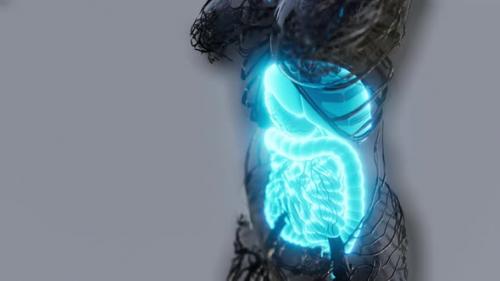 Videohive - Transparent Human Body with Visible Digestive System - 36396200 - 36396200