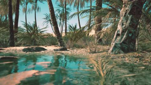 Videohive - Green Oasis with Pond in Sahara Desert - 36344019 - 36344019