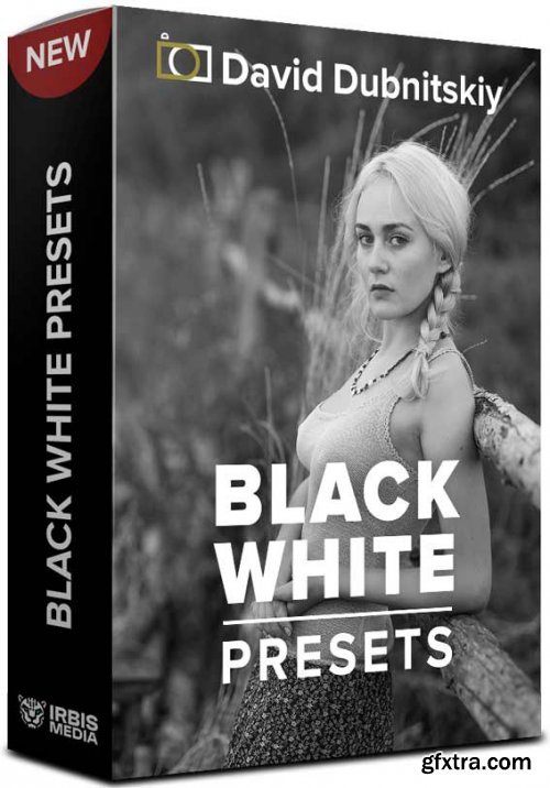 David Dubnitskiy - 20 B&W PRESETS