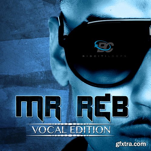 Big Citi Loops Mr. RnB Vocal Edition WAV