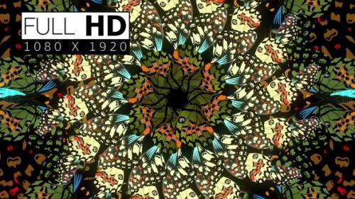 Videohive - Decorative Butterfly 03 - 36399551 - 36399551