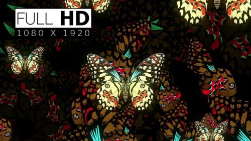 Videohive - Decorative Butterfly 02 - 36399553 - 36399553