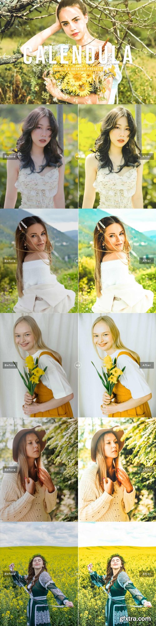 CreativeMarket - Calendula Pro Lightroom Presets 6926792