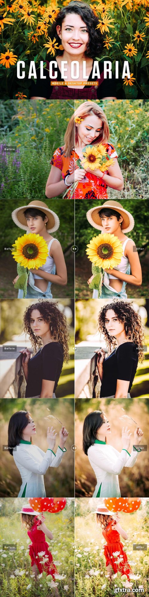 CreativeMarket - Calceolaria Pro Lightroom Presets 6926787