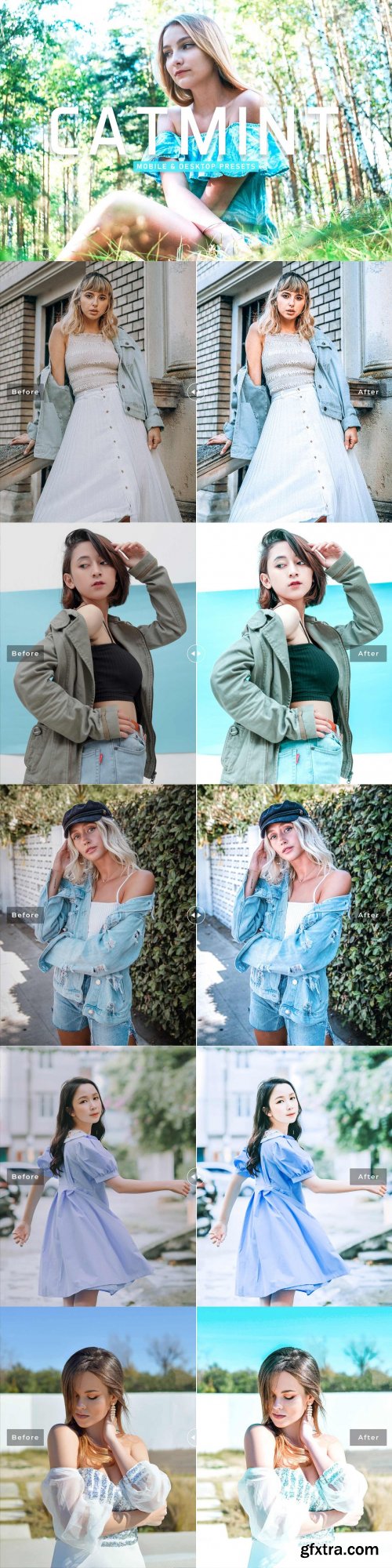 CreativeMarket - Catmint Pro Lightroom Presets 6926796