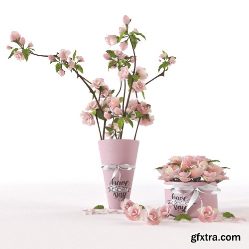 Rose flowers set