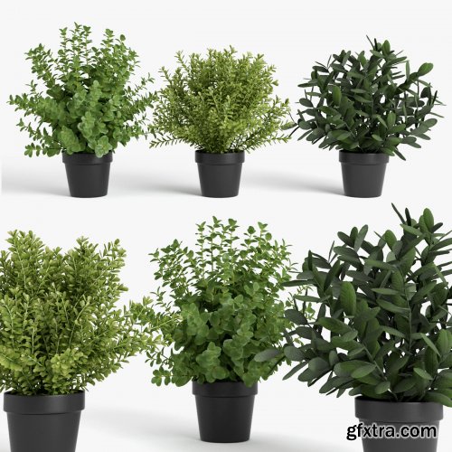 Plants set