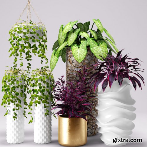 Cgtrader - Collection of plants in pots