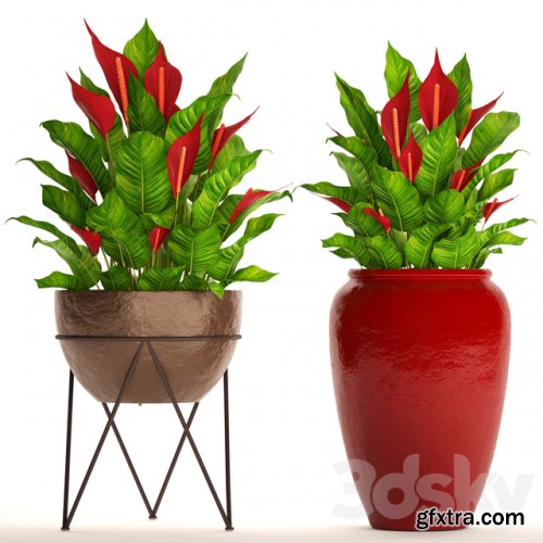 A collection of plants in pots. 55 RED