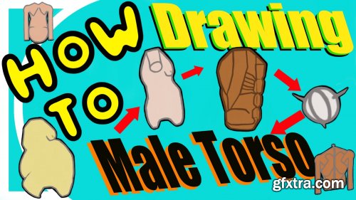  Learn How To Draw a Male Torso (For Artists)