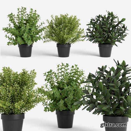 Plants set 100