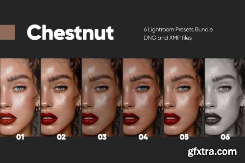 CreativeMarket - 6 CHESTNUT LIGHTROOM PRESETS 6734081