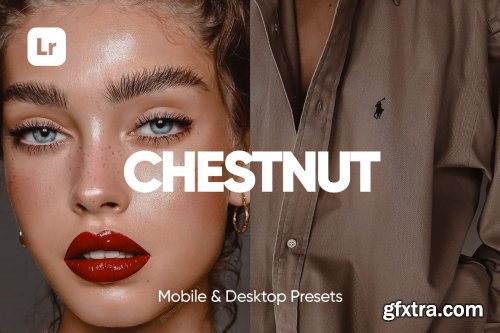 CreativeMarket - 6 CHESTNUT LIGHTROOM PRESETS 6734081