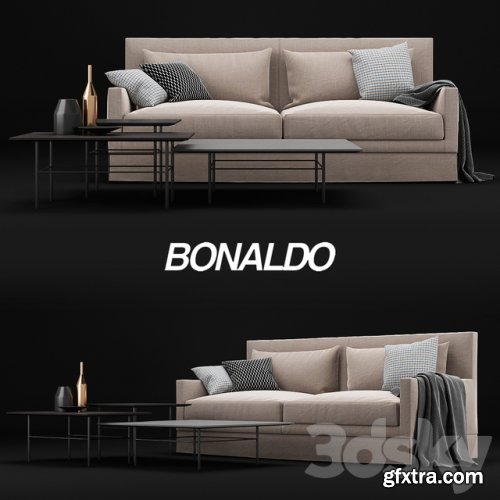 Bonaldo Paraiso and Bonaldo Fard