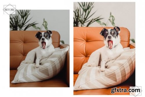 12 Huppy Puppy Lightroom Presets