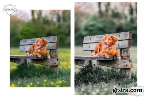 12 Huppy Puppy Lightroom Presets