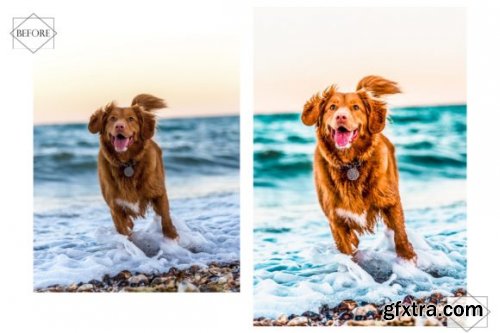 12 Huppy Puppy Lightroom Presets