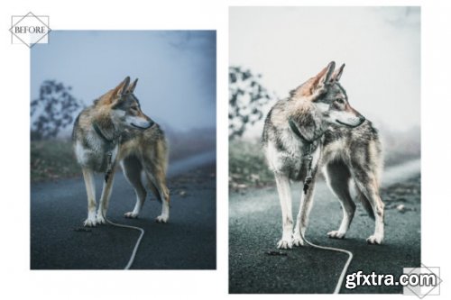 12 Huppy Puppy Lightroom Presets