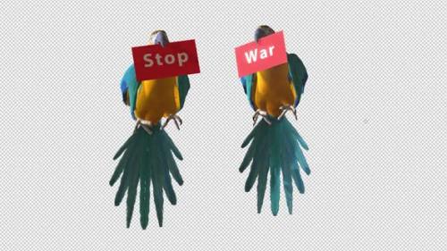 Videohive - Parrots Carry Stop War Placard - 36403433 - 36403433