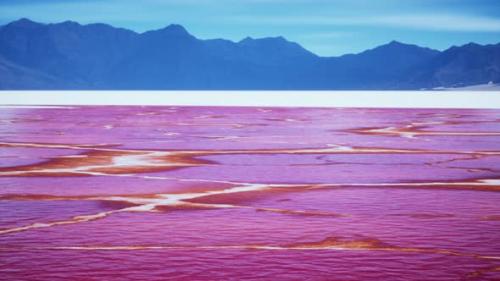 Videohive - Beautiful View of Pink Lake on Summer Day - 36405051 - 36405051