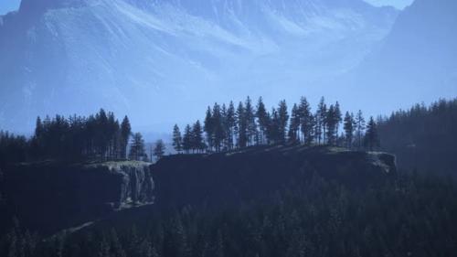 Videohive - Misty Foggy Mountain Landscape with Fir Forest - 36405098 - 36405098