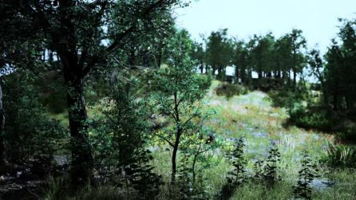 Videohive - Idyllic Landscape in the Alps with Fresh Green Meadows - 36390493 - 36390493