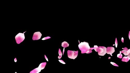 Videohive - Apple Petals Alpha Channel - 36403906 - 36403906