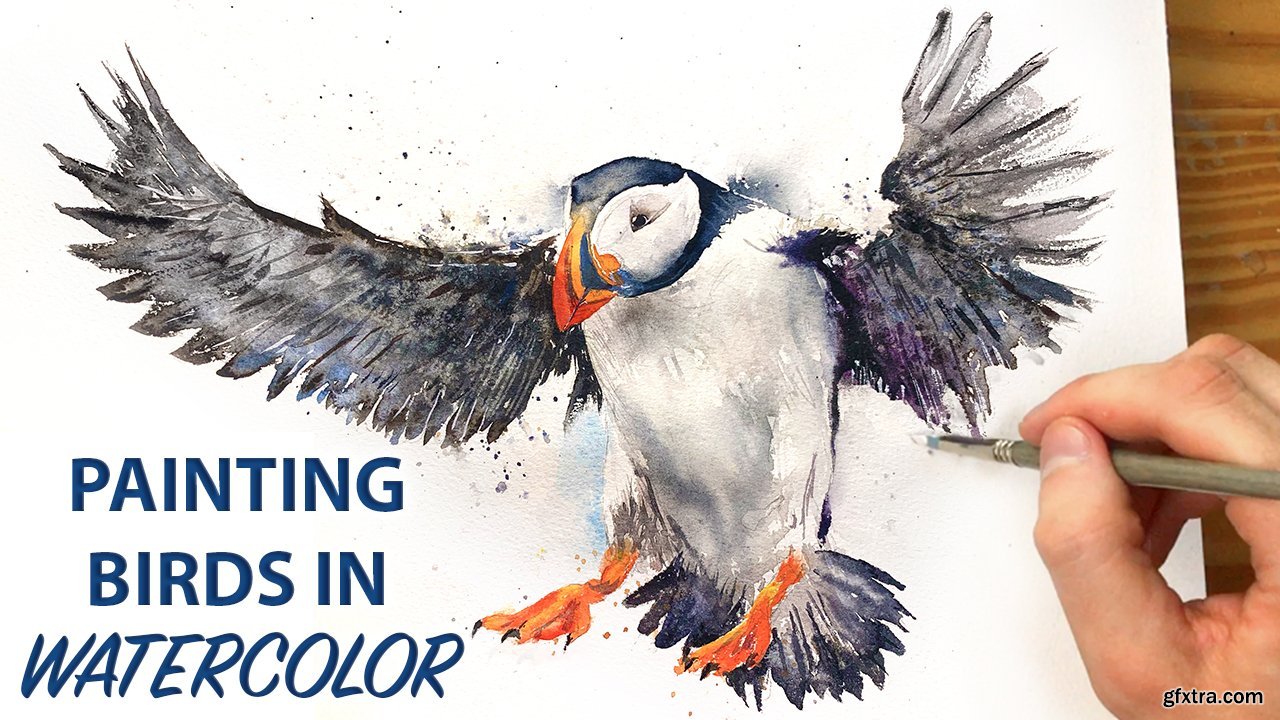 How To Draw Paint Birds In Watercolor Develop Basic Techniques Improve Your Painting Skills