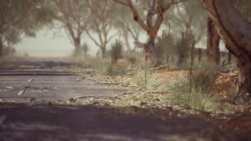 Videohive - Open Road in Australia with Bush Trees - 36456992 - 36456992