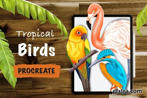 Tropical Birds In Procreate