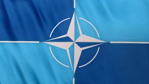 Videohive - Realistic Full Frame NATO North Atlantic Treaty Organization Flag Loop Banner Background - 36406619 - 36406619