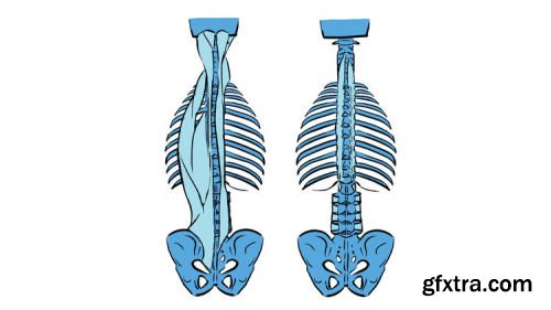 Back pain management