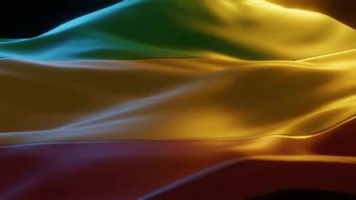 Videohive - Mali - Stylized Flag - 36420983 - 36420983