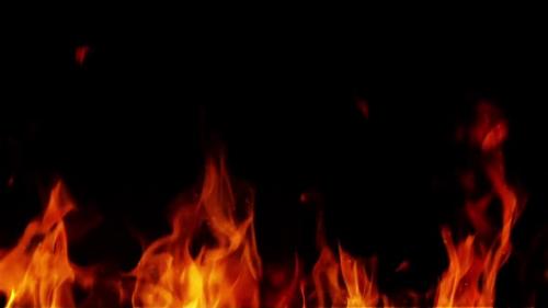 Videohive - Background With A Looped Fire - 36490852 - 36490852