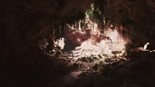 Videohive - View From Inside a Dark Cave with Green Plants and Light on the Exit - 36513180 - 36513180