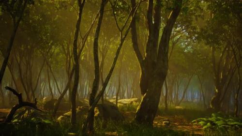 Videohive - Creepy Mystic Magic Deep Forest - 36553968 - 36553968