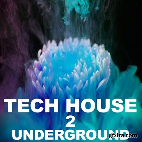 Beatrising Tech House Underground 2 WAV