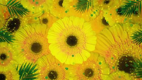 Videohive - Background of yellow flowers - 36591477 - 36591477