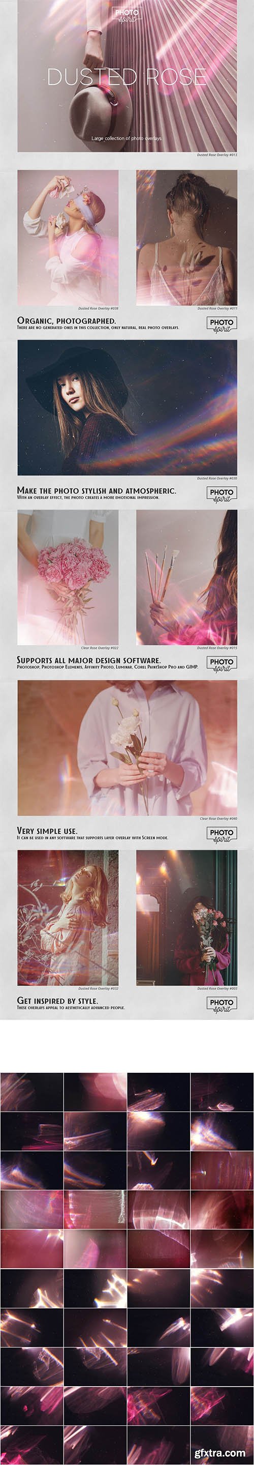 CreativeMarket - Dusted Rose Overlays 7055409