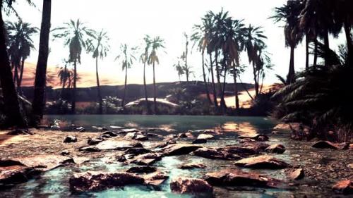 Videohive - Oasis in the Middle of the Desert with a Lot of Trees - 36616162 - 36616162