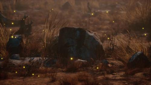 Videohive - Dry Landscape with Grass Stones and Fireflies - 36632765 - 36632765