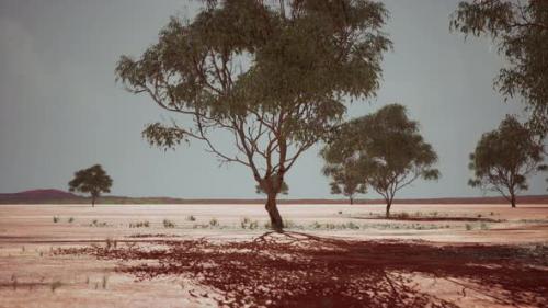 Videohive - Dry African Savannah with Trees - 36662961 - 36662961