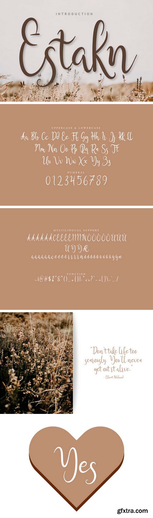 Estakn Script Font