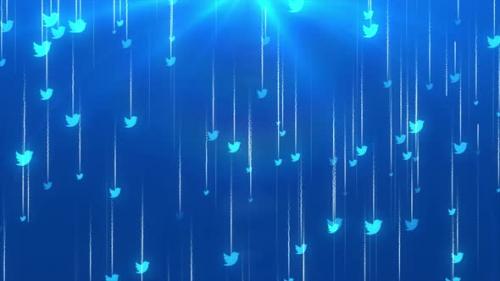 Videohive - Falling Twitter Icon Background - 36659586 - 36659586