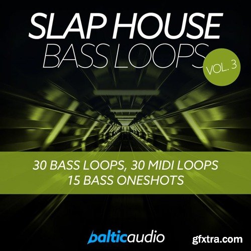 Baltic Audio Slap House Bass Loops Vol 3 WAV MiDi